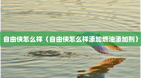 自由侠怎么样（自由侠怎么样添加燃油添加剂）