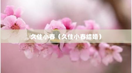 久住小春（久住小春结婚）
