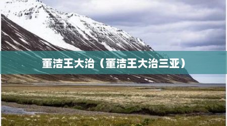 董洁王大治（董洁王大治三亚）