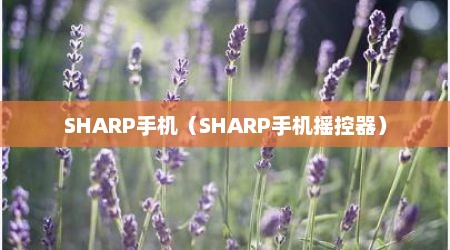 SHARP手机（SHARP手机摇控器）