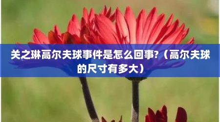 关之琳高尔夫球事件是怎么回事?（高尔夫球的尺寸有多大）