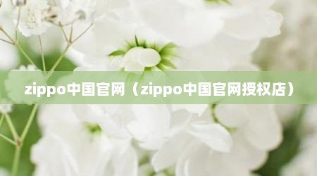 zippo中国官网（zippo中国官网授权店）
