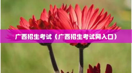 广西招生考试（广西招生考试网入口）
