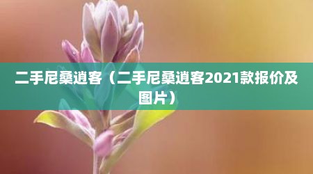 二手尼桑逍客（二手尼桑逍客2021款报价及图片）