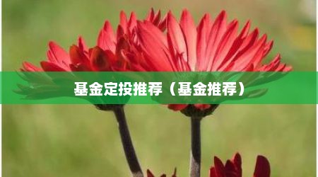 基金定投推荐（基金推荐）