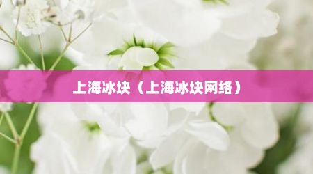 上海冰块（上海冰块网络）
