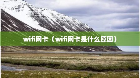 wifi网卡（wifi网卡是什么原因）