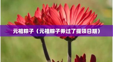 元祖粽子（元祖粽子券过了提领日期）