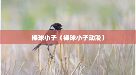 棒球小子（棒球小子动漫）
