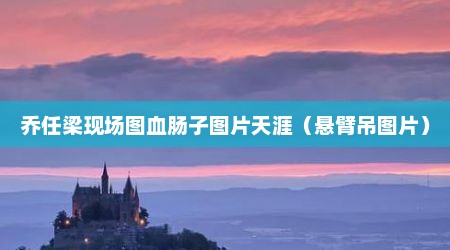 乔任梁现场图血肠子图片天涯（悬臂吊图片）