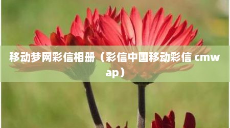 移动梦网彩信相册（彩信中国移动彩信 cmwap）