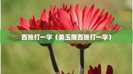 西施打一字（美玉雕西施打一字）