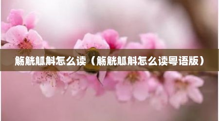 觞觥觚斛怎么读（觞觥觚斛怎么读粤语版）