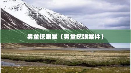 男童挖眼案（男童挖眼案件）