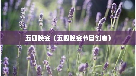 五四晚会（五四晚会节目创意）