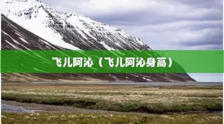 飞儿阿沁（飞儿阿沁身高）