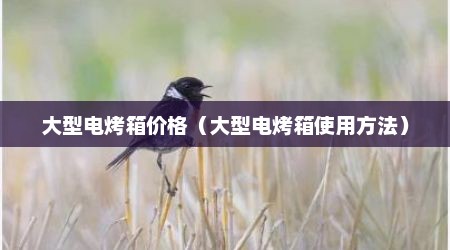 大型电烤箱价格（大型电烤箱使用方法）