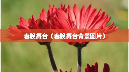 春晚舞台（春晚舞台背景图片）