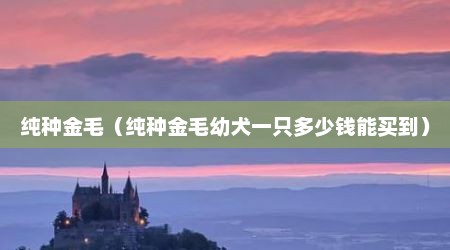 纯种金毛（纯种金毛幼犬一只多少钱能买到）