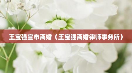 王宝强宣布离婚（王宝强离婚律师事务所）
