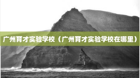 广州育才实验学校（广州育才实验学校在哪里）