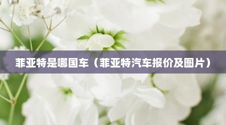 菲亚特是哪国车（菲亚特汽车报价及图片）
