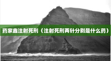 药家鑫注射死刑（注射死刑两针分别是什么药）