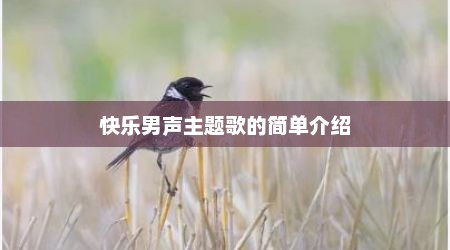 快乐男声主题歌的简单介绍