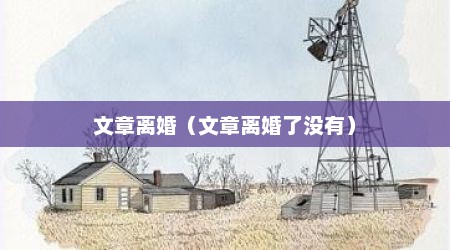 文章离婚（文章离婚了没有）