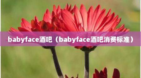 babyface酒吧（babyface酒吧消费标准）