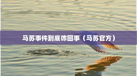 马苏事件到底咋回事（马苏官方）