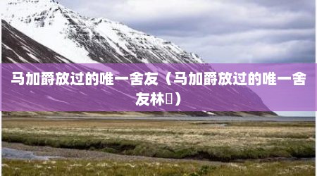 马加爵放过的唯一舍友（马加爵放过的唯一舍友林峯）