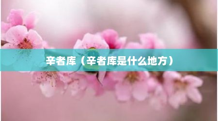 辛者库（辛者库是什么地方）