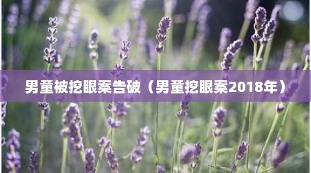 男童被挖眼案告破（男童挖眼案2018年）