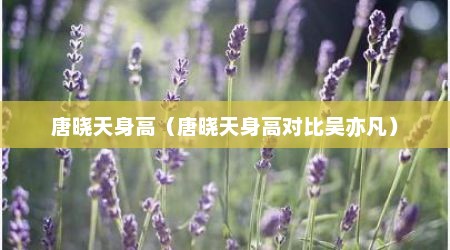 唐晓天身高（唐晓天身高对比吴亦凡）