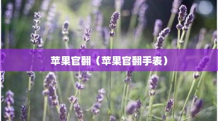 苹果官翻（苹果官翻手表）