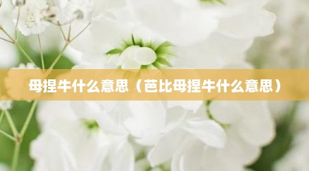 母捏牛什么意思（芭比母捏牛什么意思）