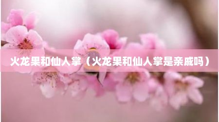 火龙果和仙人掌（火龙果和仙人掌是亲戚吗）