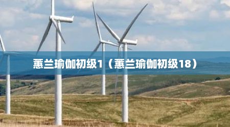 蕙兰瑜伽初级1（蕙兰瑜伽初级18）