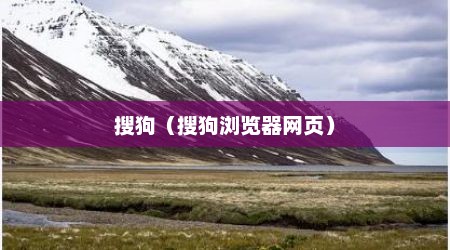 搜狗（搜狗浏览器网页）