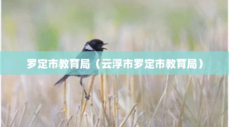 罗定市教育局（云浮市罗定市教育局）