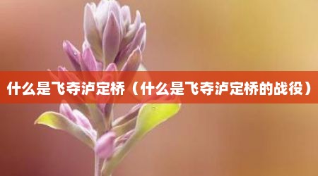 什么是飞夺泸定桥（什么是飞夺泸定桥的战役）