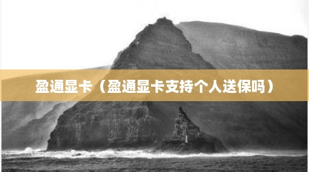 盈通显卡（盈通显卡支持个人送保吗）