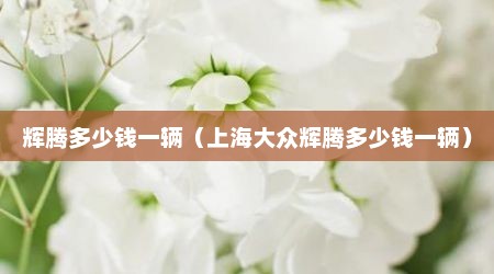 辉腾多少钱一辆（上海大众辉腾多少钱一辆）