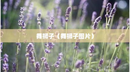 舞狮子（舞狮子图片）
