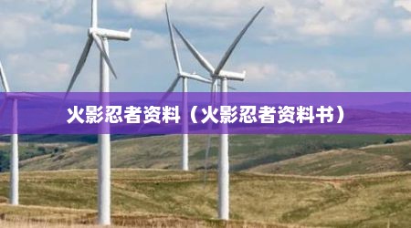 火影忍者资料（火影忍者资料书）