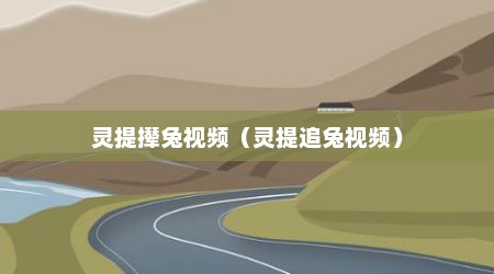 灵提撵兔视频（灵提追兔视频）