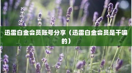 迅雷白金会员账号分享（迅雷白金会员是干嘛的）