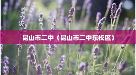 昆山市二中（昆山市二中东校区）