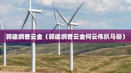 郭德纲曹云金（郭德纲曹云金何云伟扒马褂）